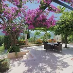 2682c شقة سلانو