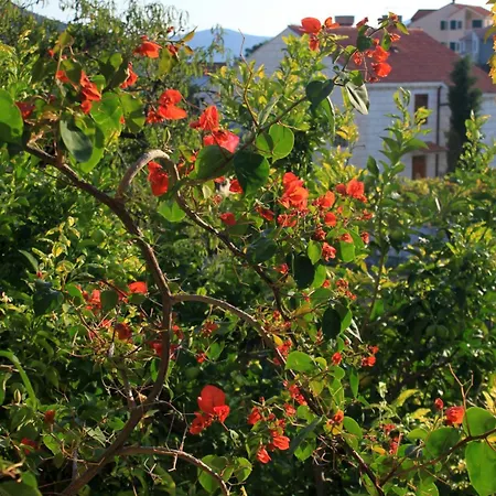 Lejlighed 2682c Slano