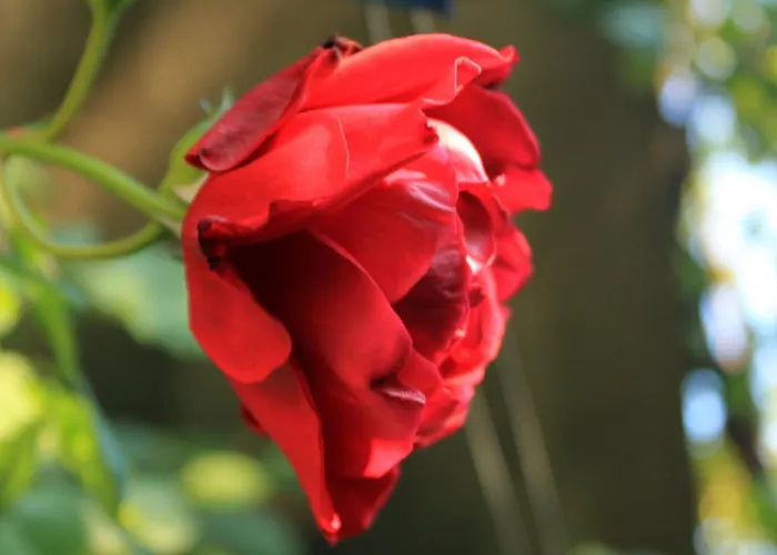 アパート 2682c スラノ