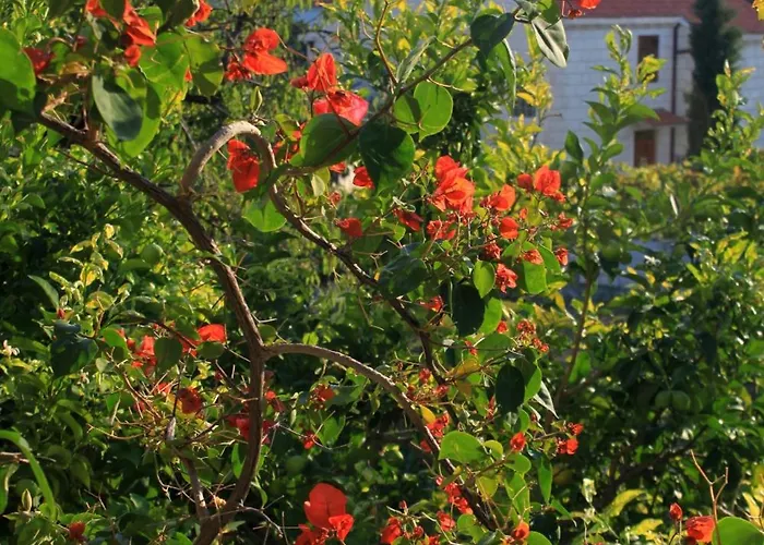 アパート 2682c スラノ